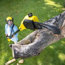 Trusted Jacinto City, TX Tree Removal and Landscaping Services Experts